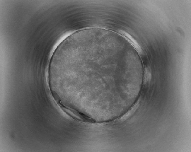 X0000116440812201001051203