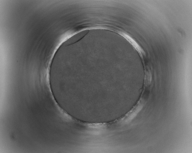 X0000116440813201001051203