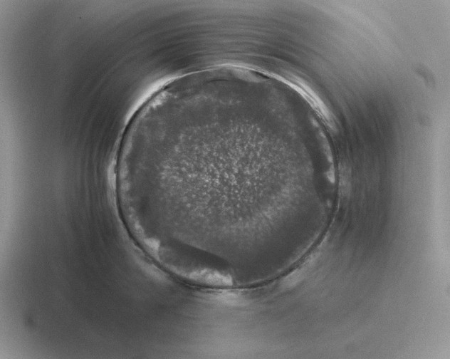 X0000116440814201001051203