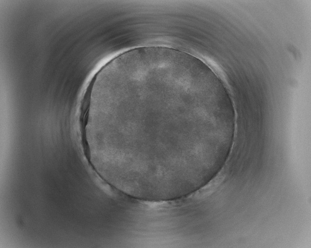 X0000116440816201001051203