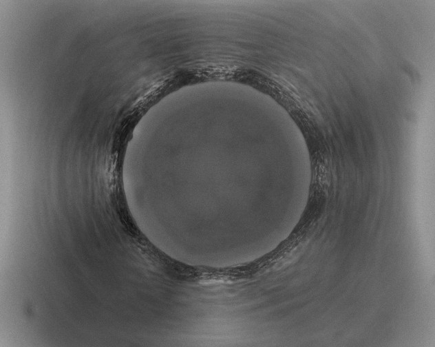 X0000116440818201001051203