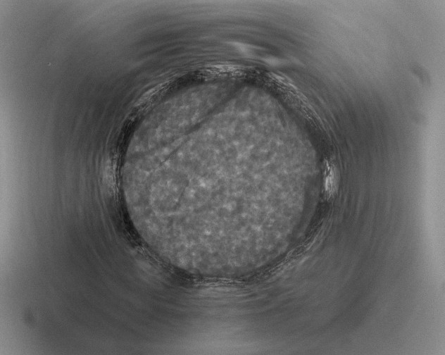 X0000116440819201001051203