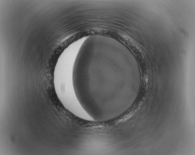 X0000116440822201001051203