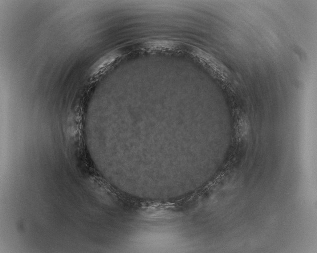 X0000116440824201001051203