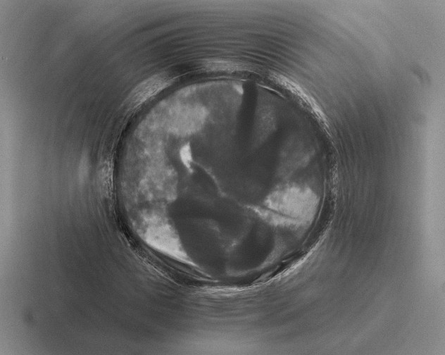 X0000116440825201001051203