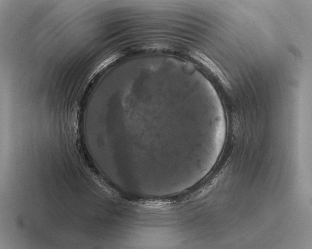 X0000116440826201001051203