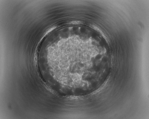 X0000116440827201001051203