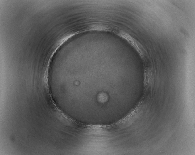 X0000116440828201001051203