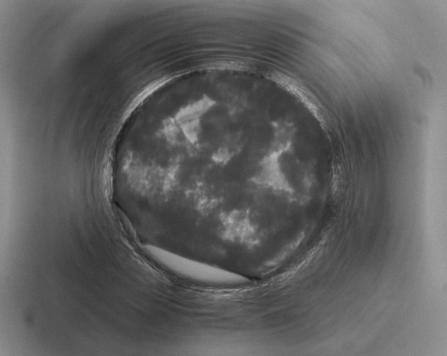 X0000116440829201001051203