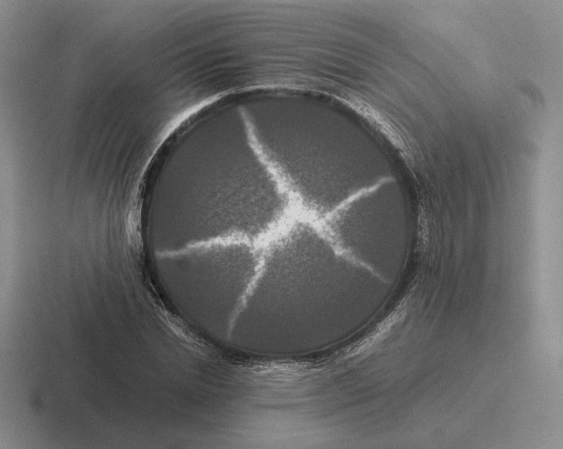 X0000116440830201001051203