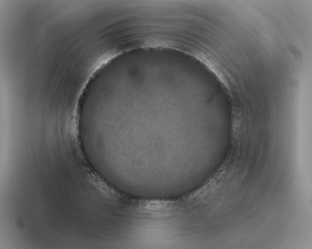 X0000116440832201001051203