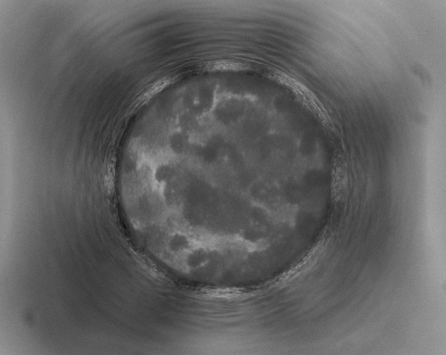 X0000116440833201001051203