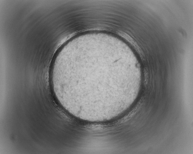 X0000116440834201001051203