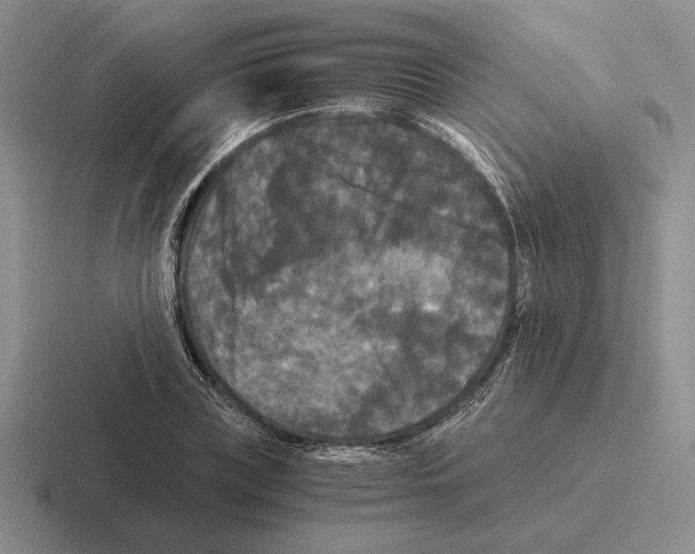 X0000116440835201001051203