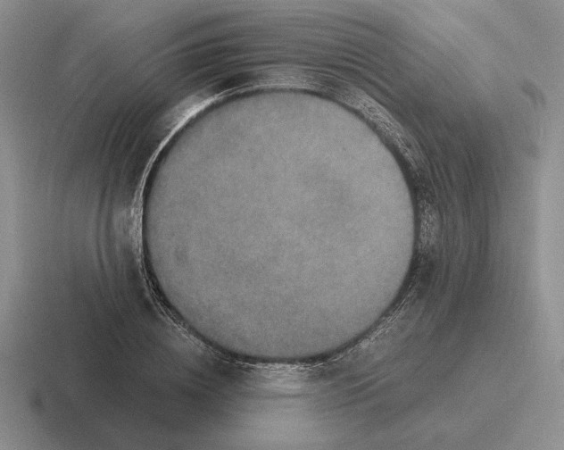 X0000116440836201001051203