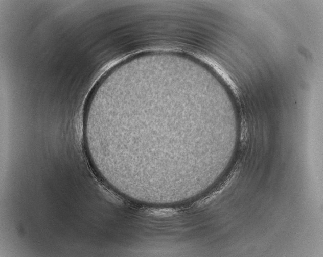 X0000116440837201001051203