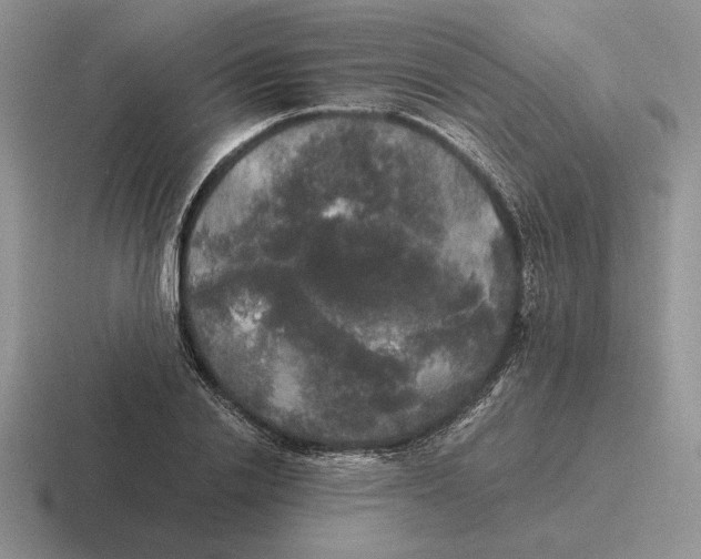 X0000116440838201001051203