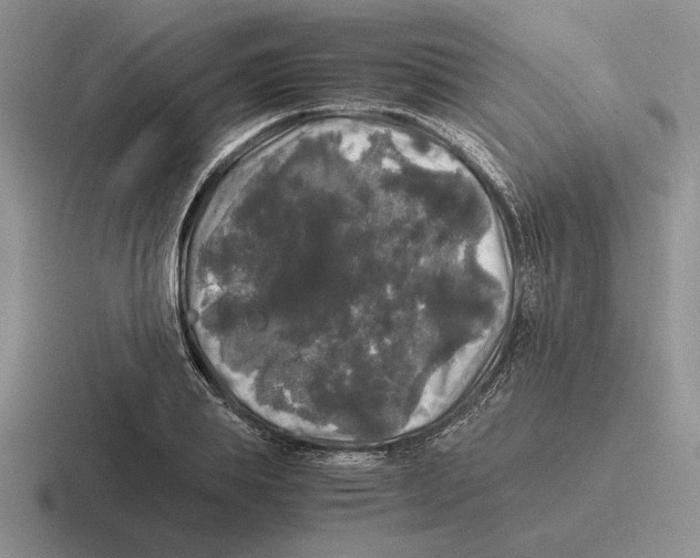 X0000116440839201001051203