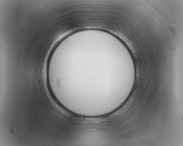 X0000116440840201001051203