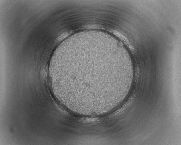 X0000116440841201001051203