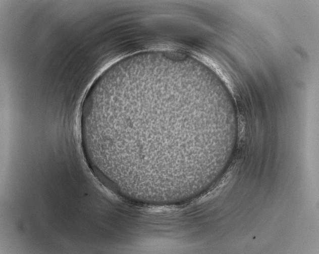 X0000116440843201001051203