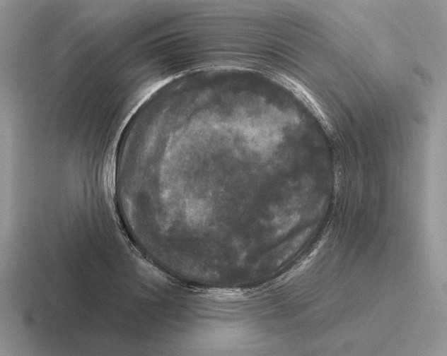 X0000116440844201001051203