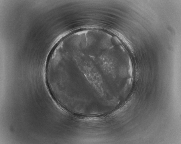 X0000116440845201001051203