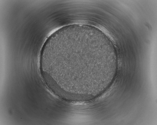 X0000116440846201001051203