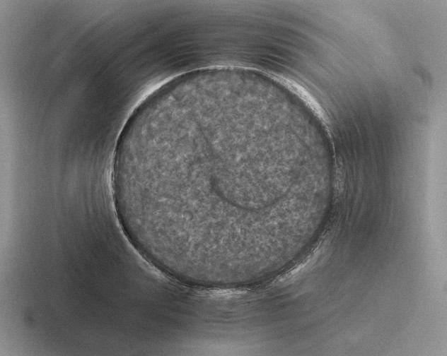 X0000116440847201001051203