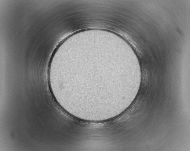 X0000116440848201001051203