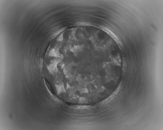 X0000116440849201001051203