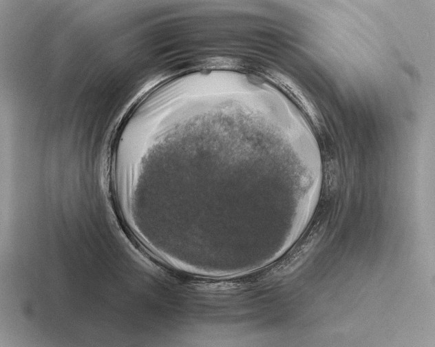 X0000116440851201001051203