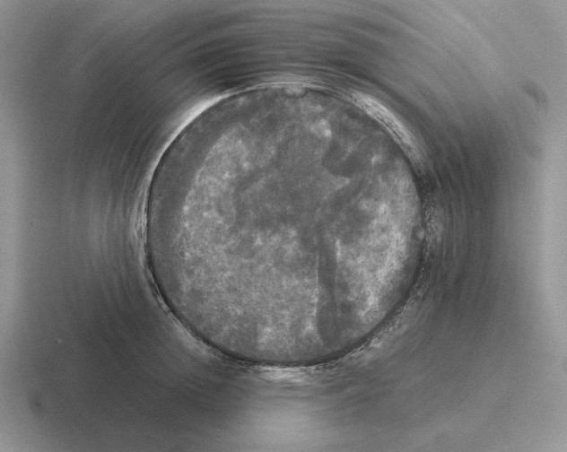 X0000116440852201001051203