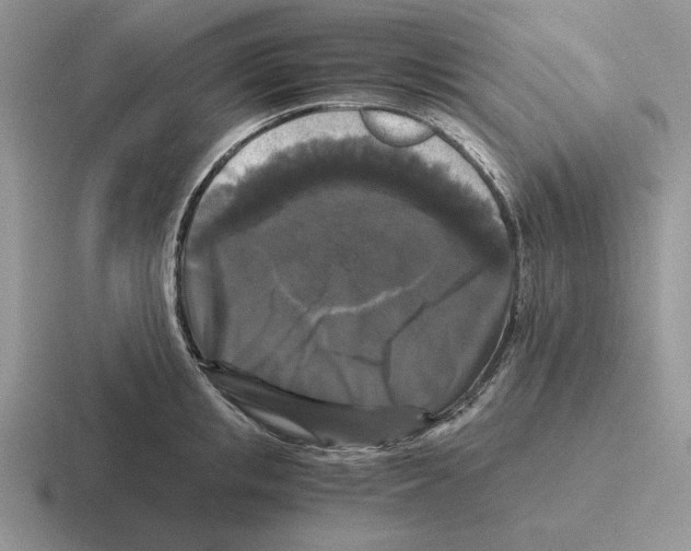 X0000116440853201001051203