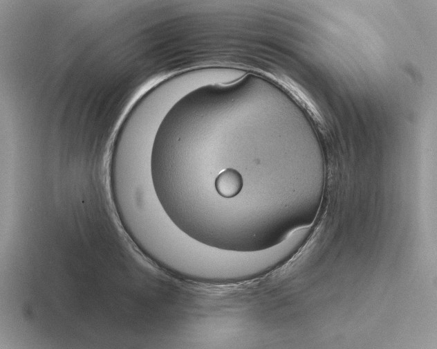 X0000116440854201001051203