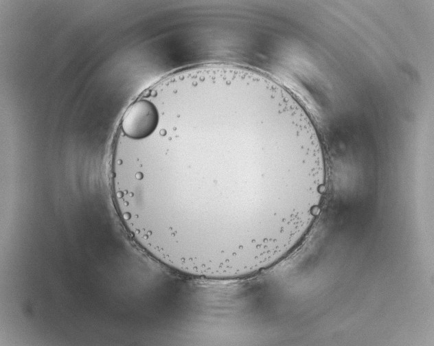 X0000116440856201001051203