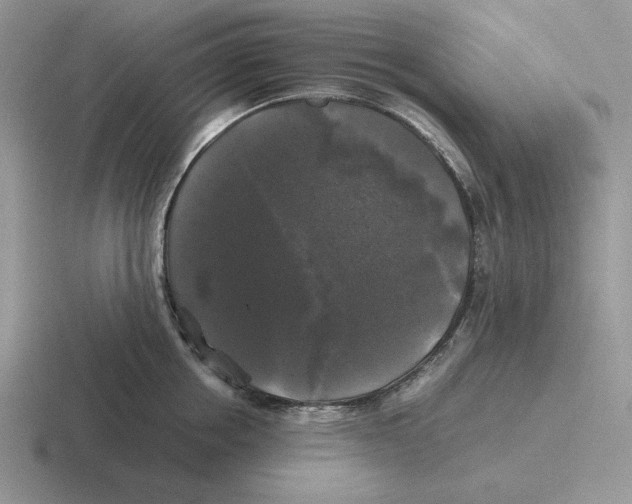 X0000116440858201001051203