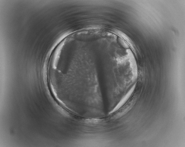 X0000116440859201001051203