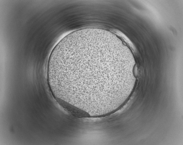 X0000116440860201001051203