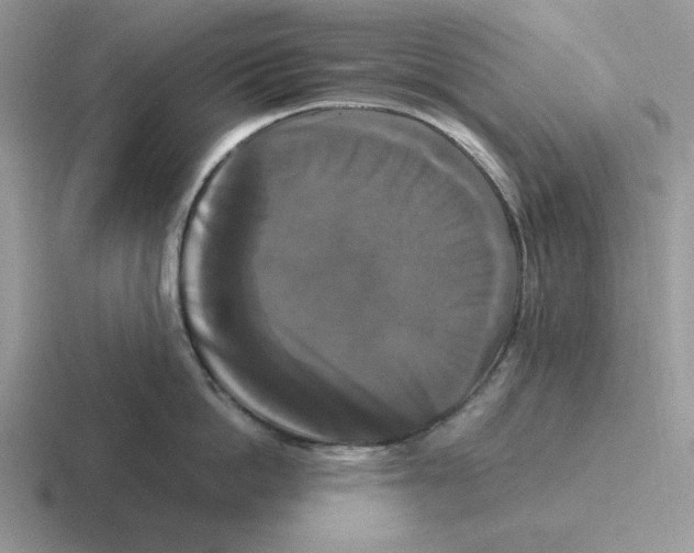 X0000116440862201001051203