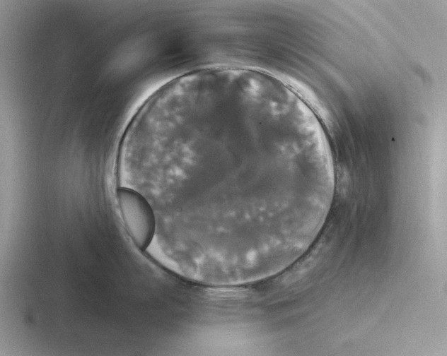 X0000116440863201001051203