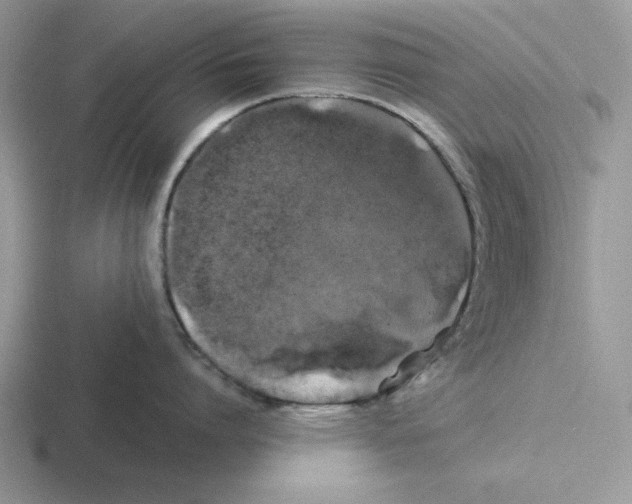 X0000116440864201001051203