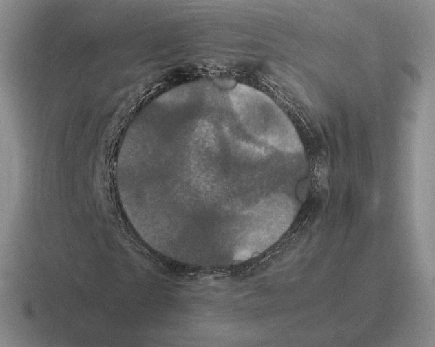 X0000116440865201001051203