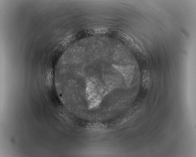 X0000116440866201001051203