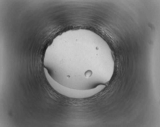 X0000116440868201001051203