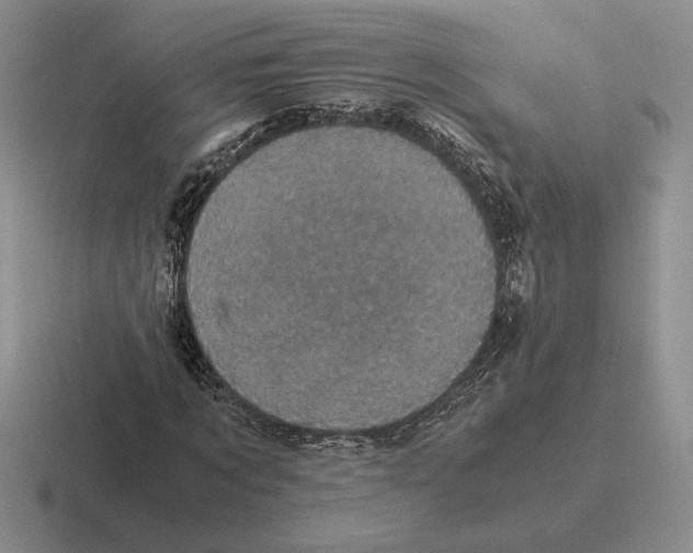 X0000116440869201001051203