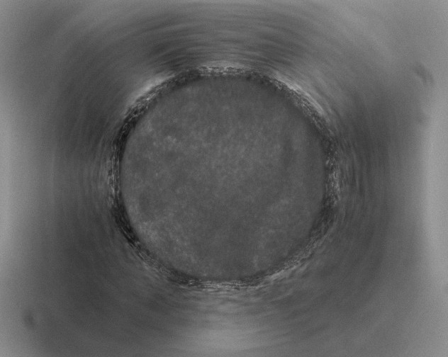 X0000116440870201001051203