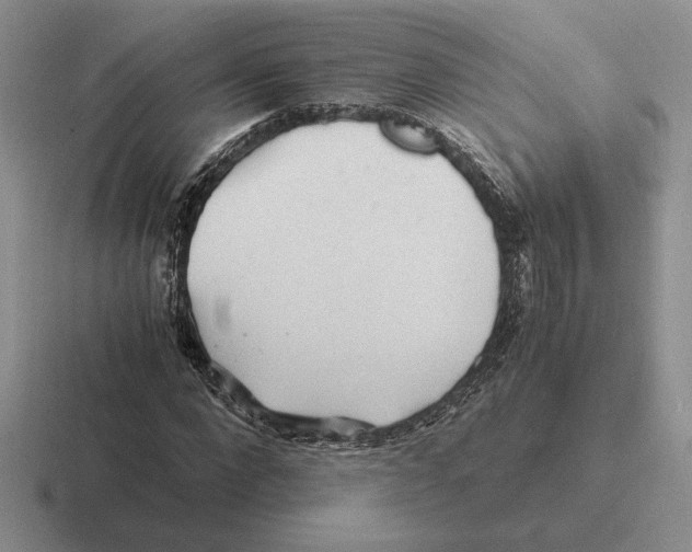 X0000116440872201001051203