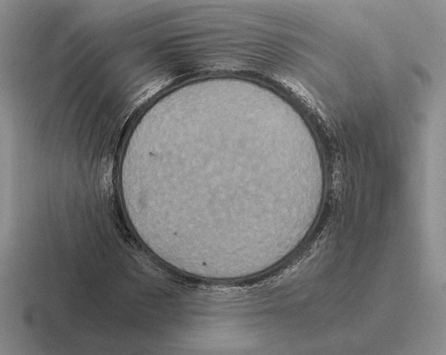 X0000116440873201001051203