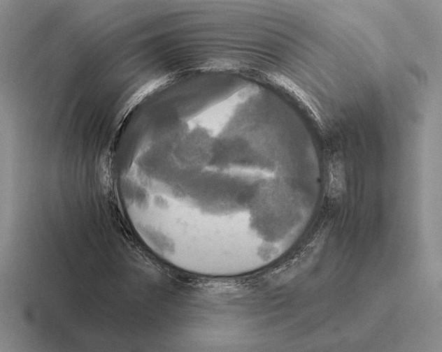 X0000116440874201001051203